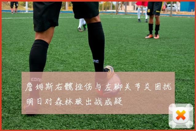 詹姆斯右髋挫伤与左脚关节炎困扰明日对森林狼出战成疑