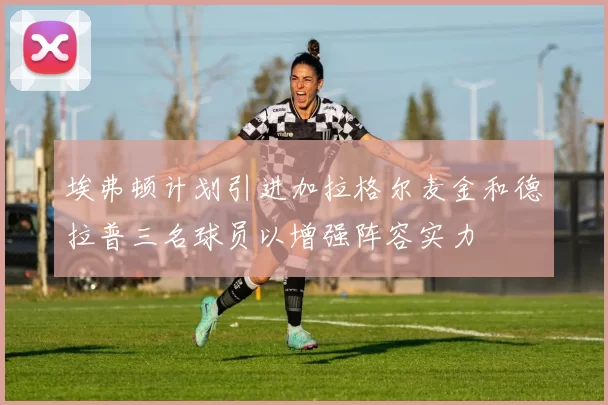 埃弗顿计划引进加拉格尔麦金和德拉普三名球员以增强阵容实力